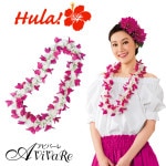 ¨Ǽ����3576�ۡڥե���󥹻��ߡۥե�����ѥ쥤��KS-GD073