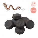 ��Z1423�ۡڥ����ǥ����å����֤�������ñ �إӤ��ʡ���