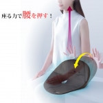 ��Z1462�ۡڷ򹯥��ݡ��ȡ� �ܡ��ɥ��å����COSIOS�ʥ���������