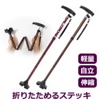 ¨Ǽ��������̵���ۡ�Z1810�ۡڷ򹯥��ݡ��ȡ��ޤꤿ����뤢�󤷤󥹥ƥå� ��