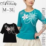 ¨Ǽ����3791�ۡڥե���󥹡� ���ץ��ꥢT����� 5ʬµ TK3585 [ñ�ʥ᡼���ز�]