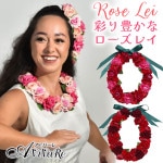 ��6108�ۡڥե���󥹡ۥӥ塼�ƥ����������쥤 YCDZ4101