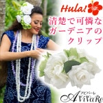 ��6125�ۡڥե���󥹡ۥ����ǥ˥�����å� YCDZ5110