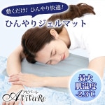 ¨Ǽ����¾�ξ��ʤȰ��˹���������̵���ۡ�X210�ۤҤ��ꥸ����ޥå� Z3430