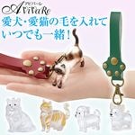 ��Z3466-Z3473�ۤ��Фˤ���͡��郎�ҤΥ����ۥ����