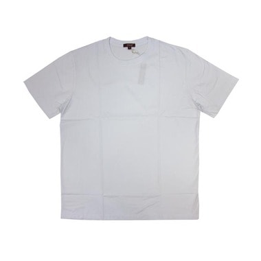 CITYLAB PREMIUM S/S T-SHIRT (PR0208R:ICE WHITE) | Brand,A-F 