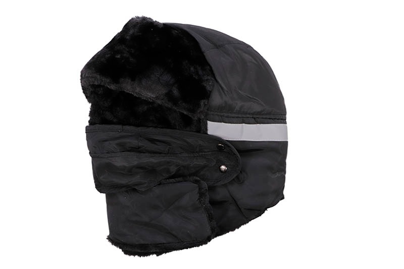 THE NORTH BEAR TRAPPER