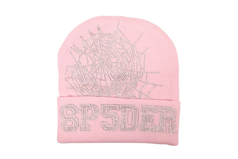 SP5DER WEB BEANIE (PINK)