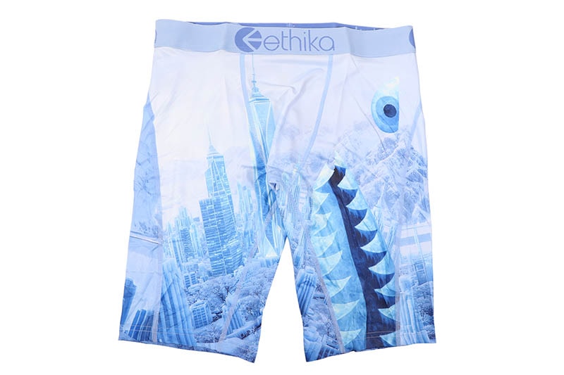 ETHIKA BOMBER CITY OF STILLNESS STAPLE BOXER BRIEFS (MSPAAB2601-AQB)