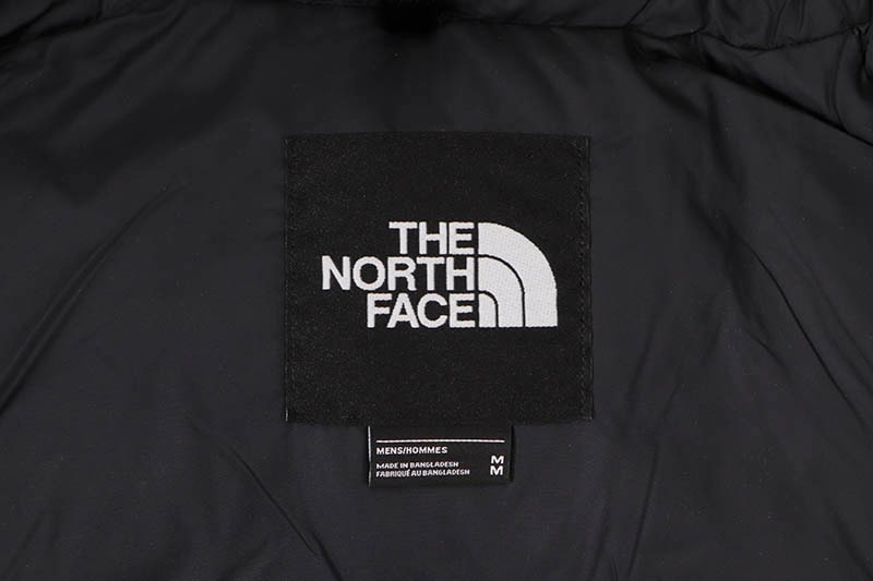 THE NORTH FACE 1996 RETRO NUPTSE JACKET (NF0A3C8D6R7:WASABI