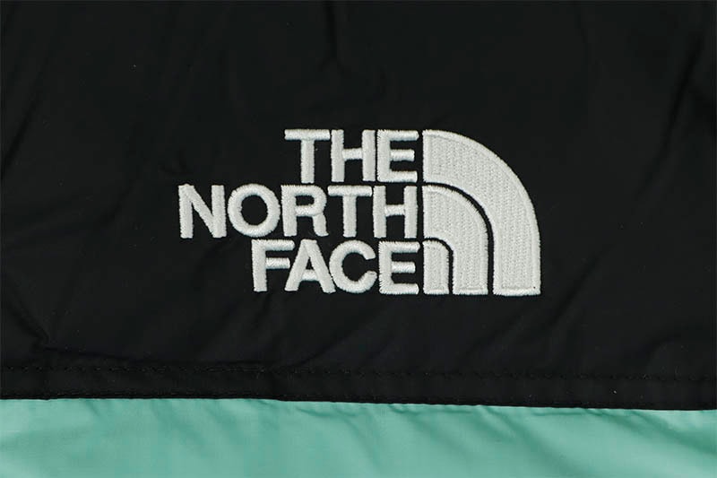 THE NORTH FACE 1996 RETRO NUPTSE JACKET (NF0A3C8D6R7:WASABI)