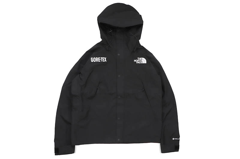 THE NORTH FACE GORE-TEX MOUNTAIN JACKET (NF0A831MJK3:TNF BLACK)