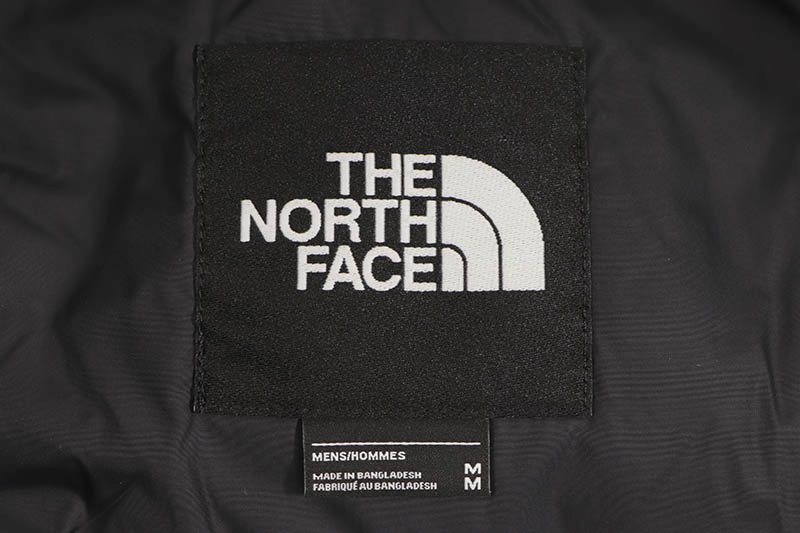 THE NORTH FACE PRINTED 1996 RETRO NUPTSE JACKET (NF0A5IX4957