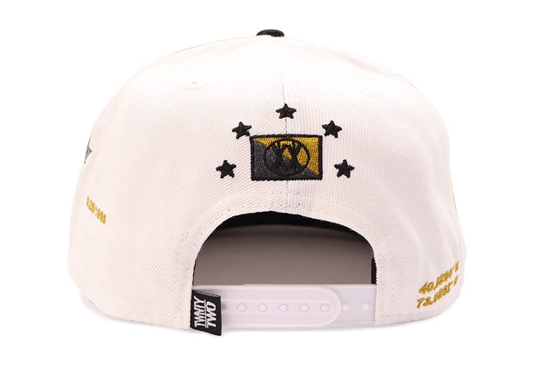 TWNTY TWO JAY-Z REASONABLE DOUBT 30TH ANNIVERSARY SNAPBACK CAP