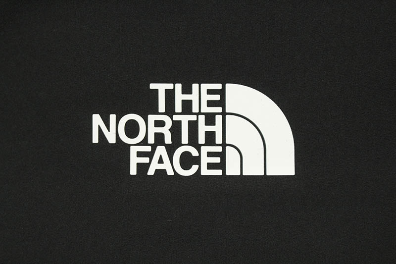 THE NORTH FACE MOUNTAIN LIGHT FL TRICLIMATE JACKET (EVERGREEN)