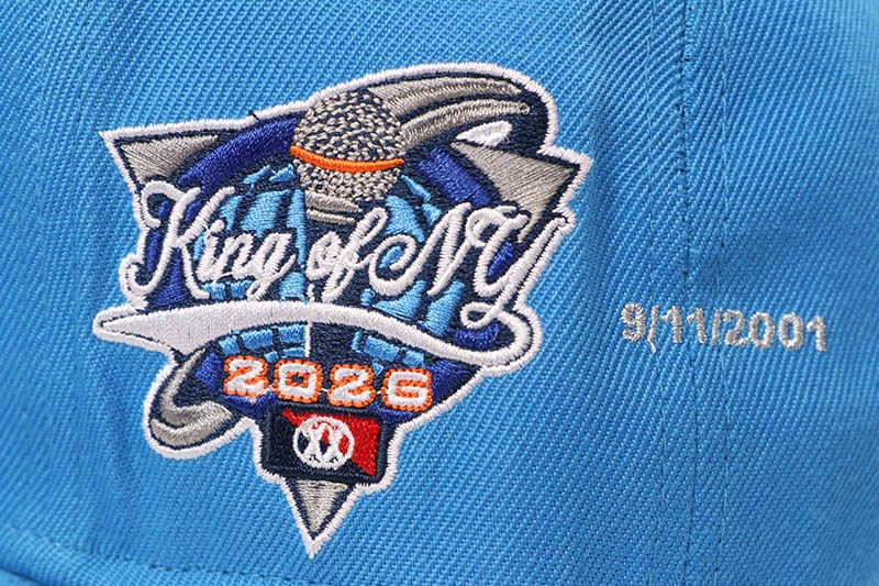 TWNTY TWO JAY-Z THE BLUEPRINT 25TH ANNIVERSARY SNAPBACK CAP (SKY
