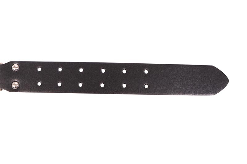 STOLEN ARTS SKULL ROLLER BELT | Brand,S-Z,STOLEN ARTS