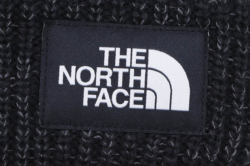 THE NORTH FACE SALTY DOG BEANIE (NF0A3FJW/JK3:TNF BLACK)