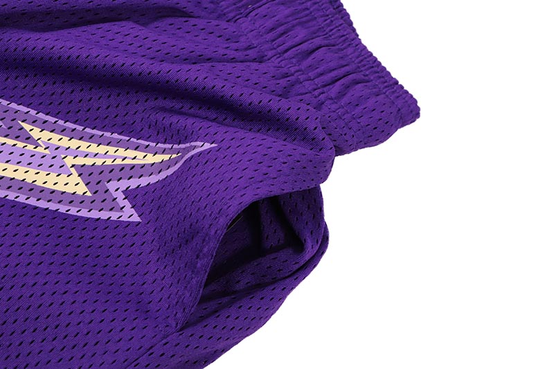 ERIC EMANUEL EE BASIC LIGHTNING BOLT PURPLE SHORTS