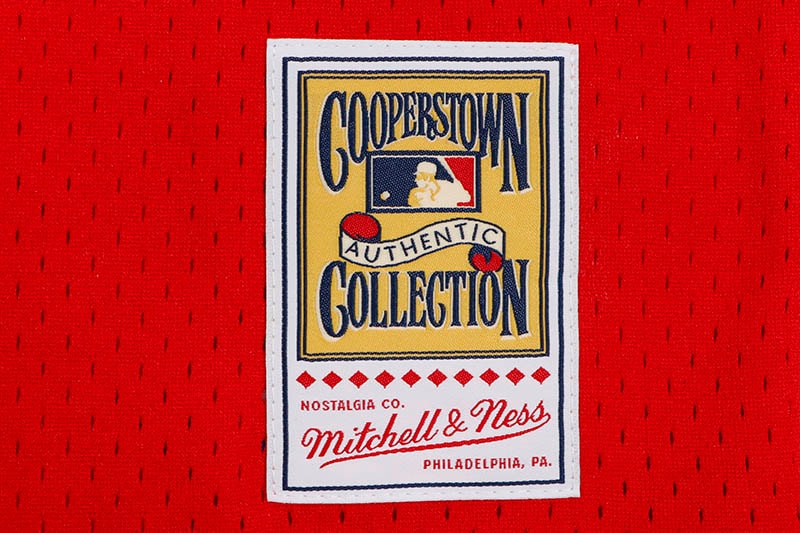 MITCHELL & NESS AUTHENTIC MESH BP JERSEY (ATLANTA BRAVES/1980:DALE