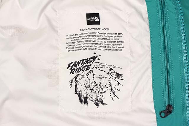 THE NORTH FACE 1993 FANTASY RIDGE JKT(TEAL)
