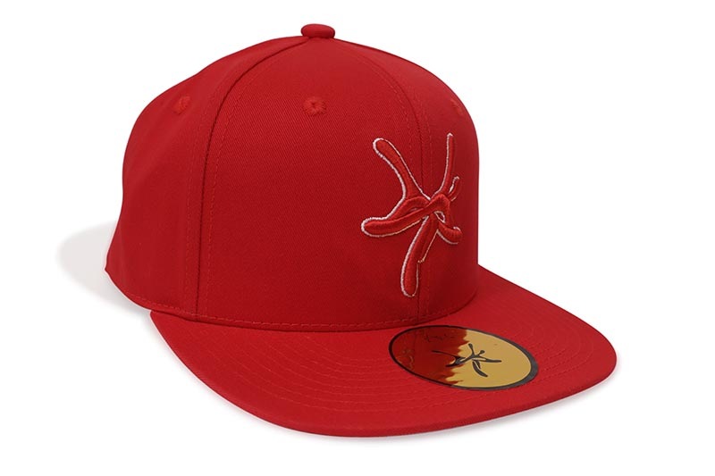 YSL HAT (RED)