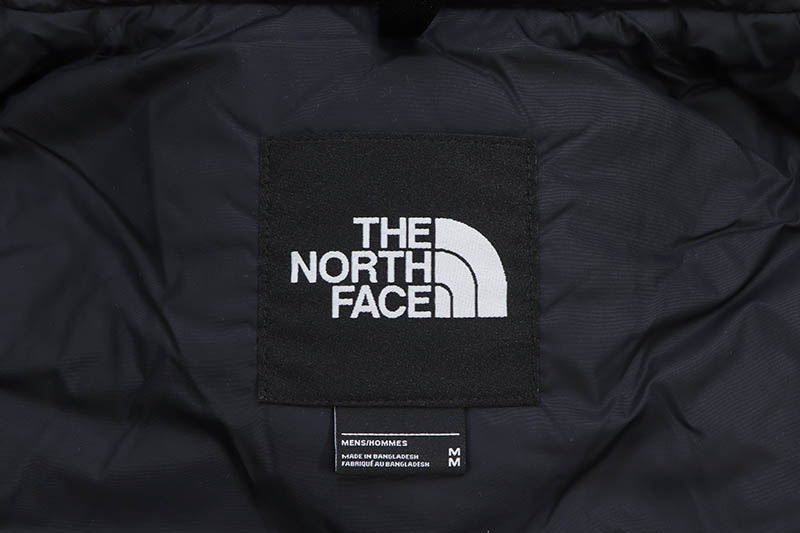 THE NORTH FACE 1996 RETRO NUPTSE VEST (NF0A3JQQNYC:THYME) | Brand