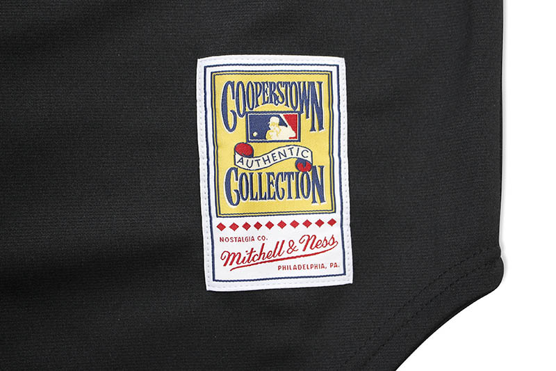 MITCHELL & NESS AUTHENTIC JERSEY (NEW YORK METS/ALTERNATE/2000/MIKE PIAZZA)