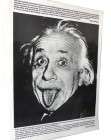アルベルト・アインシュタイン / Albert Einstein ポスター (ラミネート加工)(86×61cm)【中古】|置物・トイ|インテリア