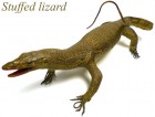 【訳あり】オオトカゲ 剥製 / 爬虫類  / オブジェ 全長59cm【中古】|置物・トイ|インテリア
