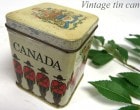 アンティーク 1960-70s TEA缶 Tin缶(ティン) / ブリキ缶 ビンテージ カナダ【中古】|置物・トイ|インテリア
