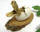 【希少】Snake & Egg スネーク&エッグ / 蛇 / オブジェ / インテリア雑貨 / オブジェ USA【中古】|置物・トイ|インテリア