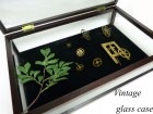卓上ガラスケース/ショーケース/木製/ガラスボックス/ディスプレイケース/店舗什器【中古】|置物・トイ|インテリア