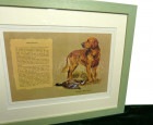 USA製 ゴールデンレトリーバー Golden Retriver リトグラフ (額装)(木製額)(緑)【中古】