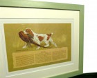 USA製 コッカー・スパニエル Cocker Spaniel リトグラフ (額装)(木製額)(緑)【中古】