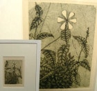 渡辺達正　「野の花」銅版画/エッチング（エディション・サインあり)(額装)【中古】