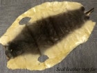 【希少】アザラシ ファーマット / シール  / 敷物  /  天然 毛皮 革 ラグ(107×74cm)【中古】【送料無料】