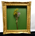 ��̤���ѡ� �⿧���� ���̳۱� / 32��27cm����š�