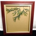 ��ȥ��ǥ�����ɥ���ӡ������� ���̳۱� F10/10��(������ơ���)����š�