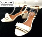  / COACH FG2570/ 쥶 ȥåץ롡6.5(23.5cm)(ǥ)š