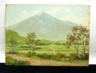 小坂 満 「高岳」 油彩画 (油絵)　F4/4号【中古】