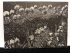 松本久美子 作　版画？　F4 /4号 額装【中古】