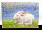 大本 博之 「うさぎ」油彩画 　油絵SMサイズ【中古】