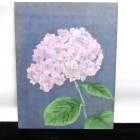 作者不明 水彩画 / 花/ 静物画 油絵F6/6号【中古】