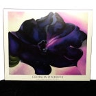 ジョージア・オキーフ / Georgia O'Keeffe　アートポスター【中古】