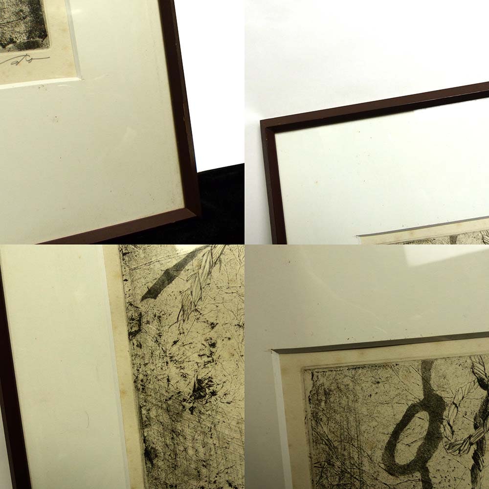 ������� Ƽ�Ĳ� / ���å��� / ��(�����󡦥��ǥ�����󤢤�)����š�