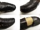 �����ꥢ�� �Х꡼ / BALLY DALEILA ������� �����ե��� E35(22cm����)( ��ǥ����� )����š�