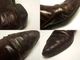 seychelles / ���������륺  ���������󥷥塼����7(22.5-23cm����)(��ǥ�����)����š�
