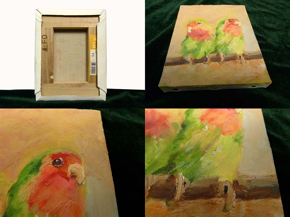 作者不明/ ゴシキメキシコインコ 油彩画 F0/0号(油絵)【中古