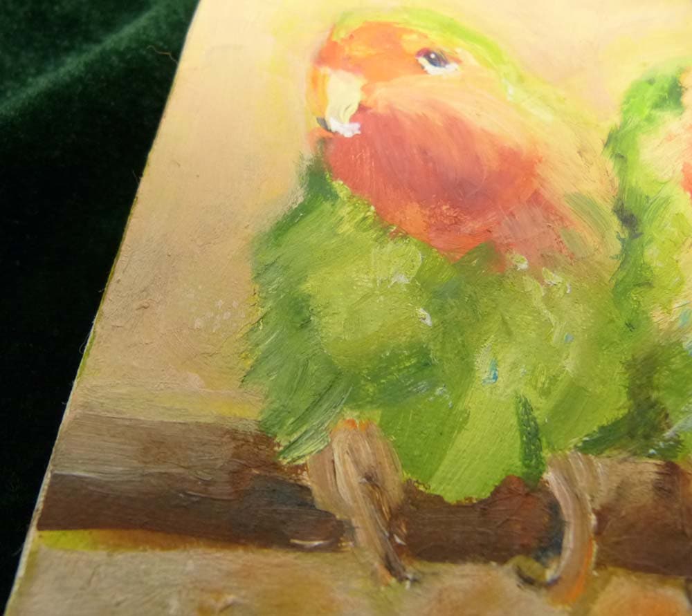 作者不明/ ゴシキメキシコインコ 油彩画 F0/0号(油絵)【中古